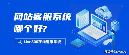 如何選擇適合信息咨詢服務的網(wǎng)站客服系統(tǒng)？